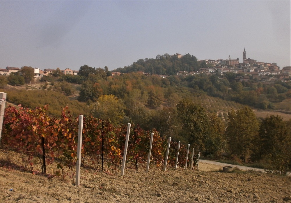 Veduta dei paesaggi UNESCO di Langhe-Roero e Monferrato. Nella foto il paese di Govone nel Roero.