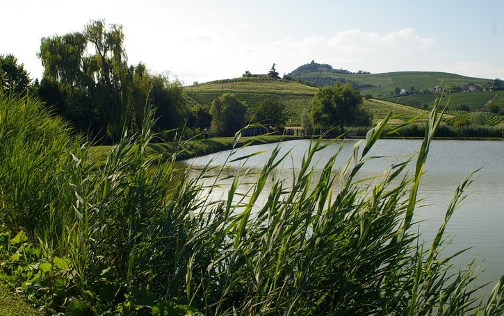 Veduta dello straordinario paesaggio del Paludo di Calosso, oggetto del momento di studio per la creazione di un area naturalistica di grande pregio nel sud dell'Astigiano.