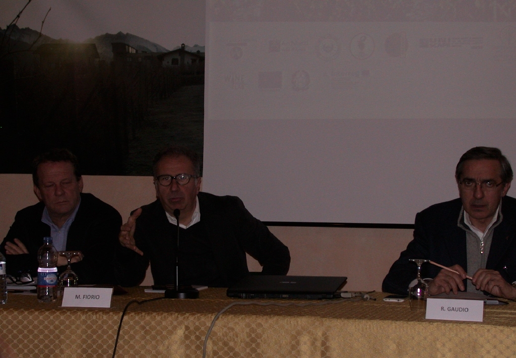 Riflessione da parte dell On.le Massimo Fiorio.