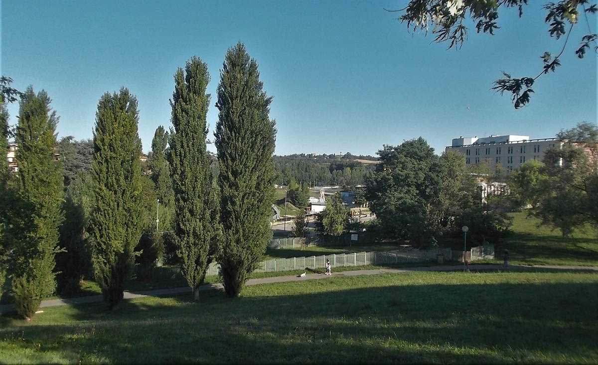 Veduta d insieme del Parco del Rio Crosio ad Asti con sullo sfondo l Ospedale "Cardinal Massaia di Asti". La gestione idraulico-forestale dei corsi d