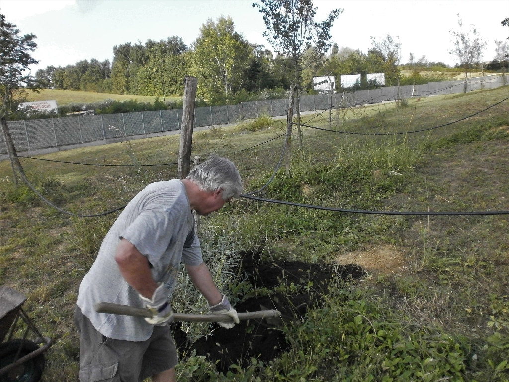 Distribuzione del compost agli alberi del Parco della Salute dell Ospedale Cardinal Massaia di Asti da parte di Angelo Porta.