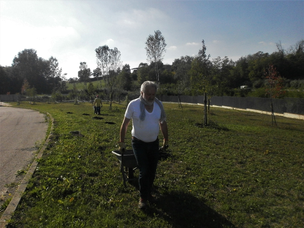 Completamento delle operazioni di distribuzione del compost fornito da GAIA (Gestione Ambientale Integrata dell Astigiano) agli alberi del Parco della Salute da parte di Giancarlo Dapavo (Circolo Legambiente Gaia di Asti).