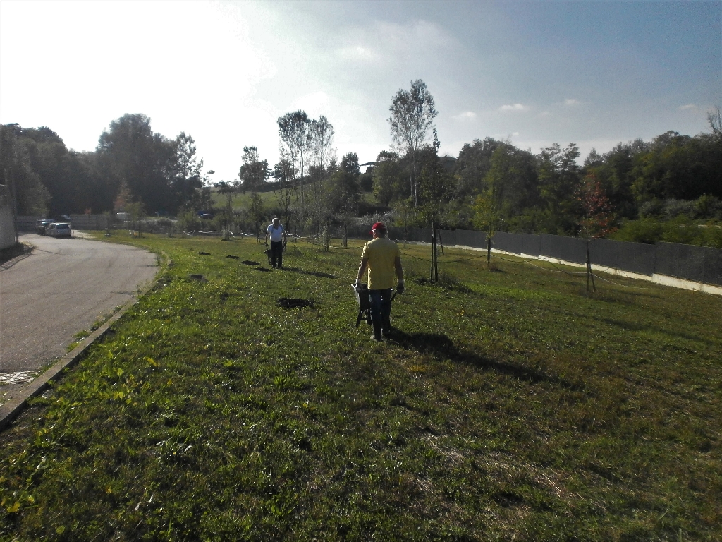 Completamento delle operazioni di distribuzione del compost fornito da GAIA (Gestione Ambientale Integrata dell Astigiano) agli alberi del Parco della Salute da parte di Giancarlo Dapavo (Circolo Legambiente Gaia di Asti) e di Angelo Porta (Circolo Legambiente Valtriversa).