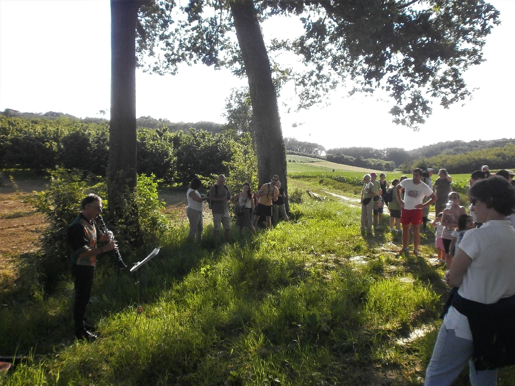 Momento musicale durante il percorso della camminata nello straordinario paesaggio agrario di Antignano.
