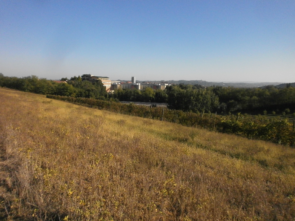 Veduta del paesaggio agrario circostante l Istituto scolastico "G. Penna" di Asti.