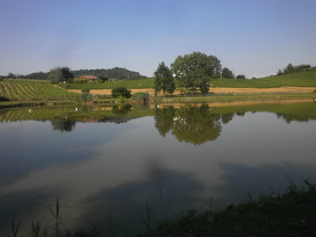 Veduta del pregevolissimo paesaggio del Laghetto di Sant Agnese in Località Paludo di Calosso.