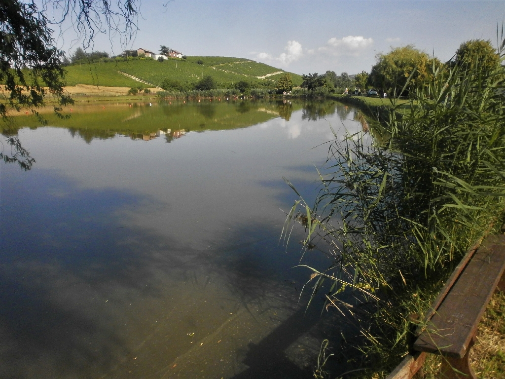 Veduta del pregevolissimo paesaggio del Laghetto di Sant Agnese in Località Paludo di Calosso.
