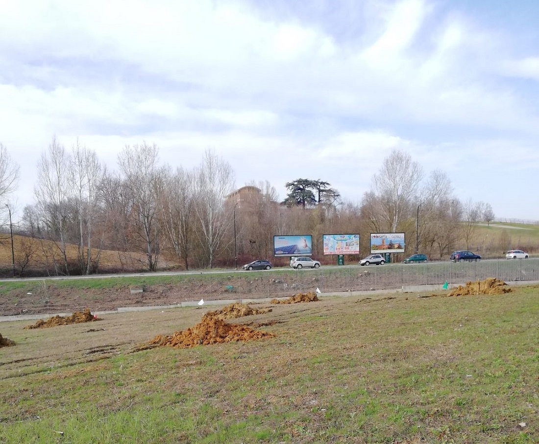 Scavo delle buche per la messa a dimora degli alberi del nuovo Parco della salute de llOspedale di Asti da parte della Protezione civile di Asti.