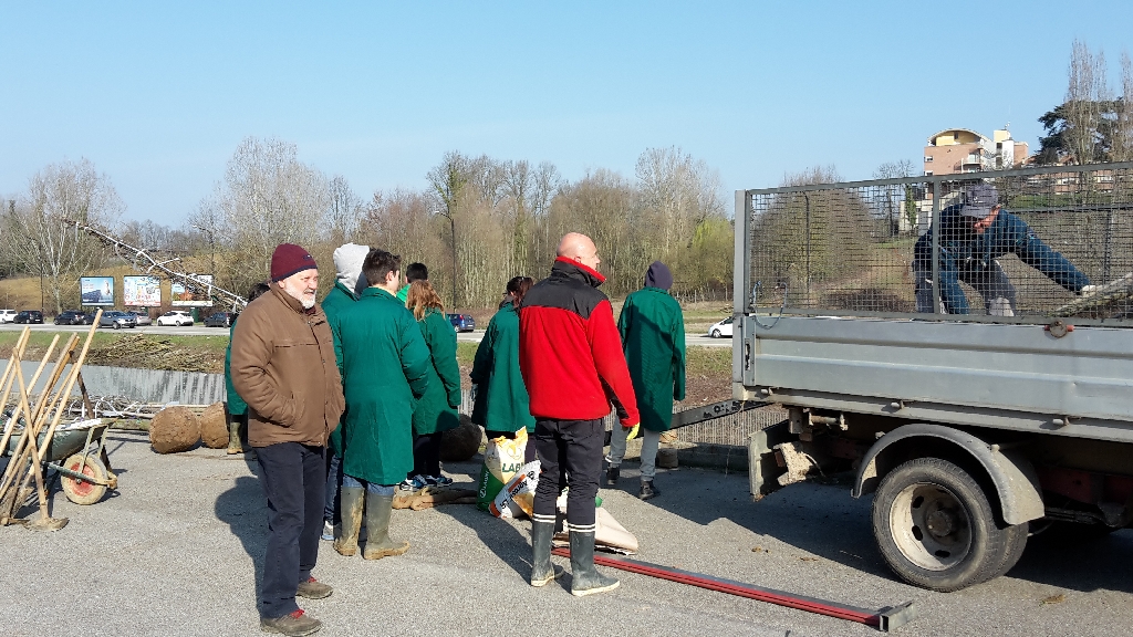 Arrivo degli alberi da piantare nel nuovo "Parco della Salute" dell Ospedale Cardinal Massaia di Asti [FOTO di Elena Berta].