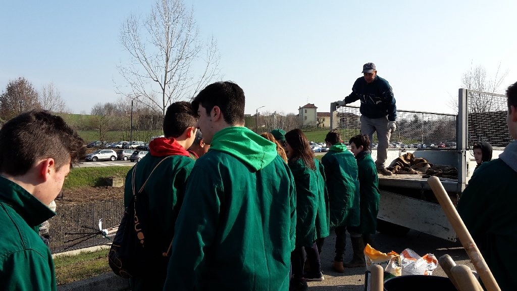 Scaricamento degli alberi dal camion ed avvio delle operazioni di trasporto nei siti di messa a dimorai [FOTO di Elena Berta].