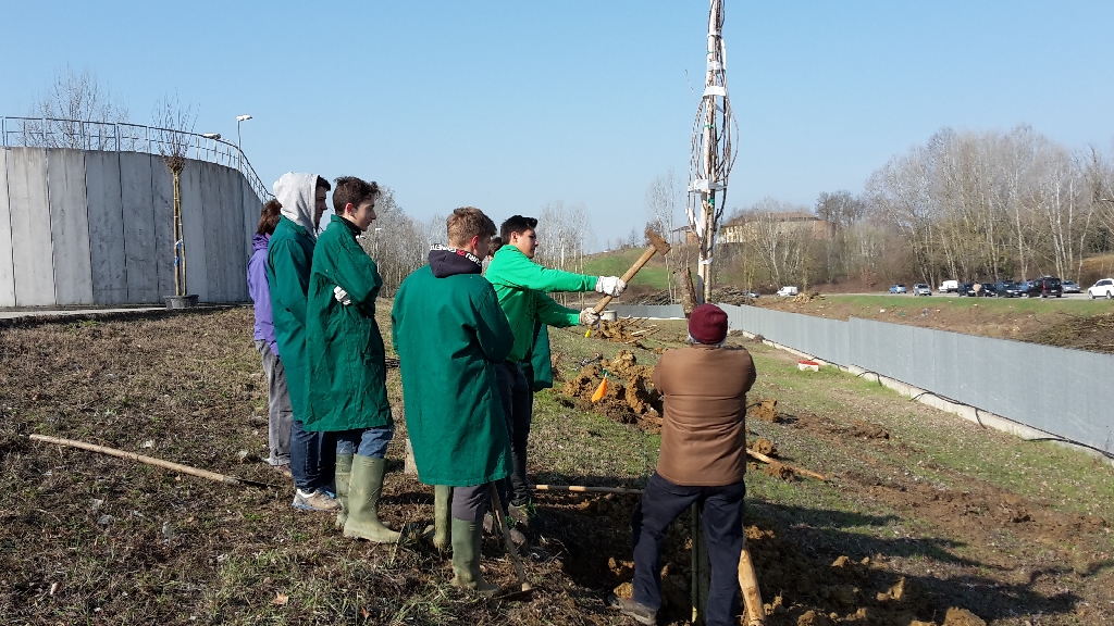 Posizionamento dei pali tutori degli alberi per un corretto sostegno nelle fasi successive alla messa a dimorai [FOTO di Elena Berta].