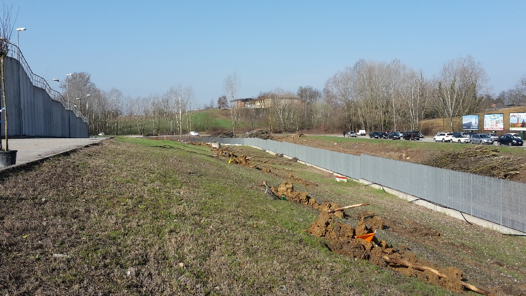 Vista d insieme delle buche scavate per la piantagione degli alberi nel nuovo "Parco della salute" dell Ospedale di Asti [FOTO di Elena Berta].