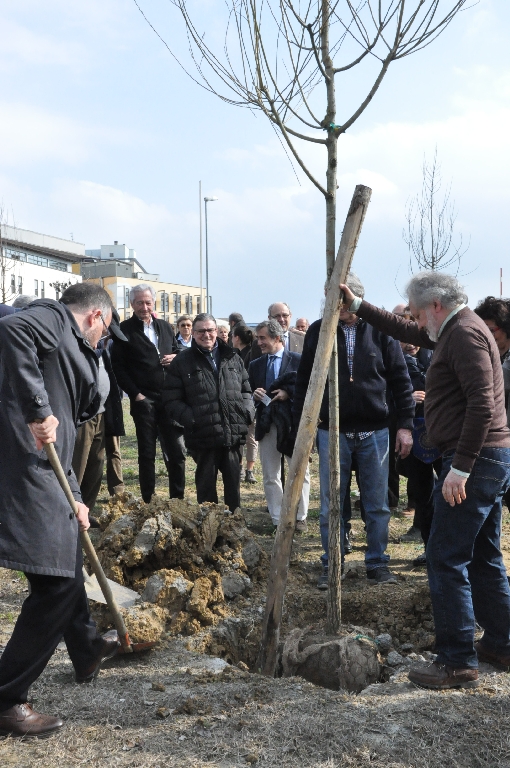  Piantagione di un albero da parte del Sindaco della Città di Asti, Maurizio Rasero [Foto di Daniela Bosia].