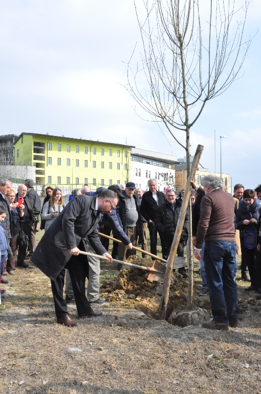  Piantagione di un albero da parte del Sindaco della Città di Asti, Maurizio Rasero [Foto di Daniela Bosia].