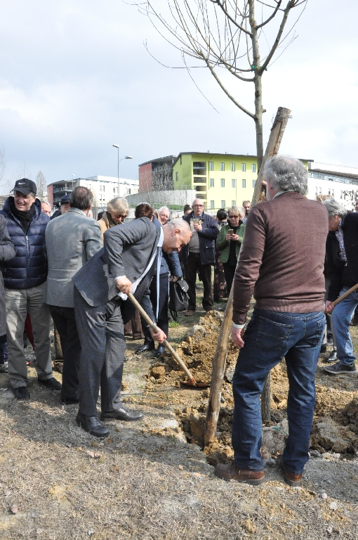Piantagione di un albero da parte di Giovanni Boccia (Presidente del Consiglio comunale di Asti) [Foto di Daniela Bosia].