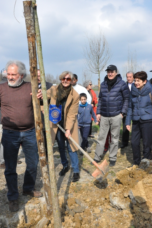  Piantagione di un albero da parte dell Arch. Augusta Mazzarolli (Inner Wheel di Asti) [Foto di Daniela Bosia].