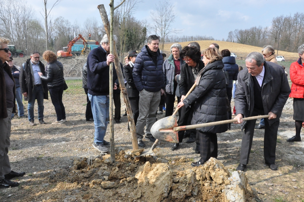  Piantagione di un albero da parte di Ida Grossi (Direttore generale dell ASL di Asti) [Foto di Daniela Bosia].