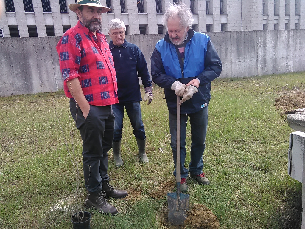 Scavo delle buche per la messa a dimora dei biancospini da parte di Giancarlo Dapavo del Circolo Legambiente Gaia di Asti. Nella foto: Marco Devecchi (Osservatorio del paesaggio) e Angelo Porta (Circolo Legambiente Valtriversa) [FOTO  di Francesco Devecchi].