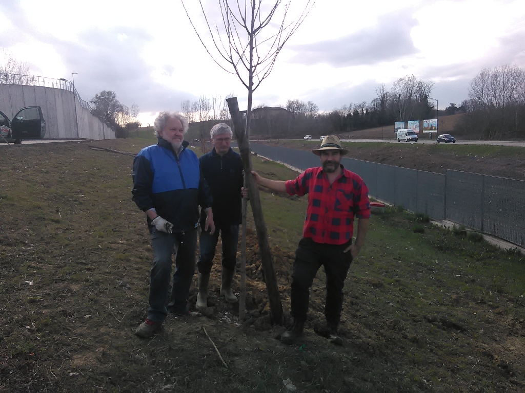 Completamento delle operazioni di messa a dimora delle piante nel Parco dell Ospedale Cardinal Massaia di Asti. Nella foto da (sx): Giancarlo Dapavo (Presidente del Circolo Legambiente Gaia di Asti), Angelo Porta (Presidente del Circolo Legambiente Valtriversa) e Marco Devecchi (Presidente dell Osservatorio del Paesaggio per il Monferrato e l Astigiano) [FOTO  di Francesco Devecchi].