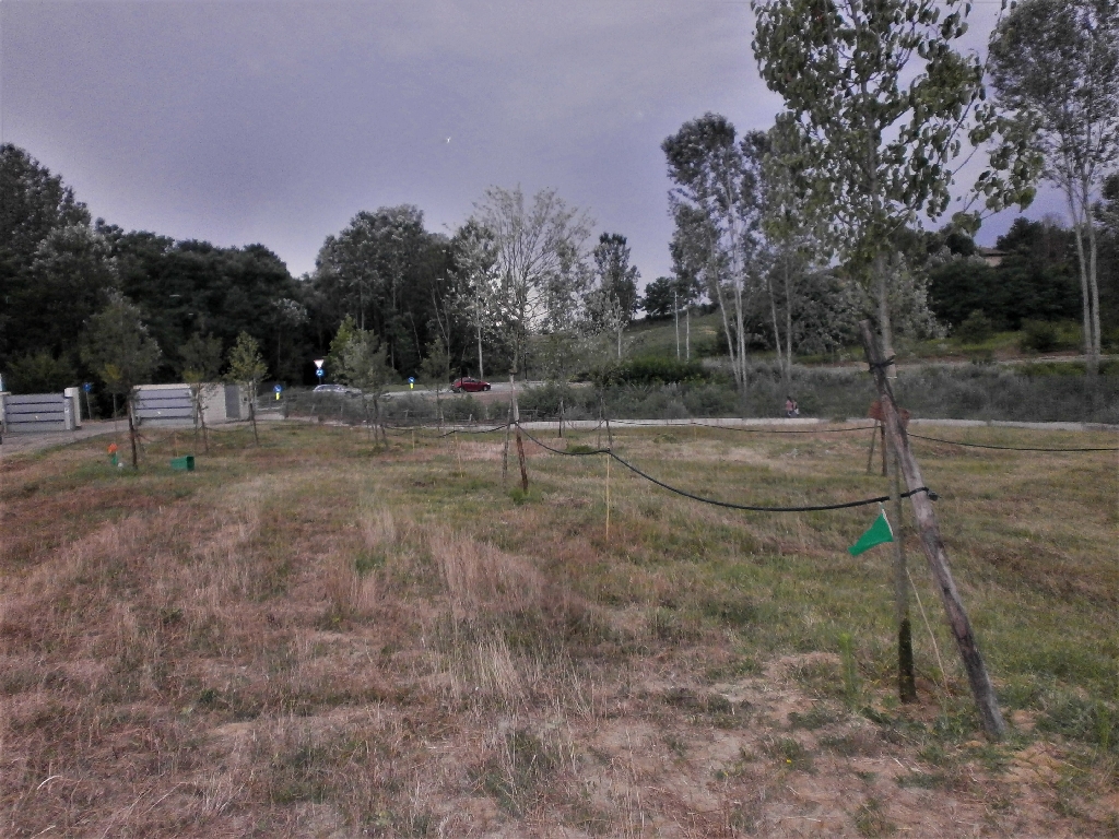 Veduta finale dell ultima area del Parco della salute servita totalmente con l impianto di irrigazione.