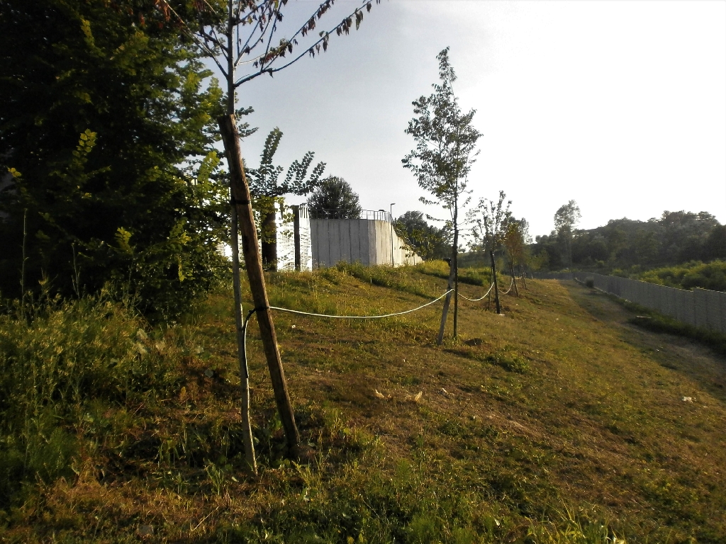 Veduta d insieme degli alberi serviti dall impianto di irrigazione.