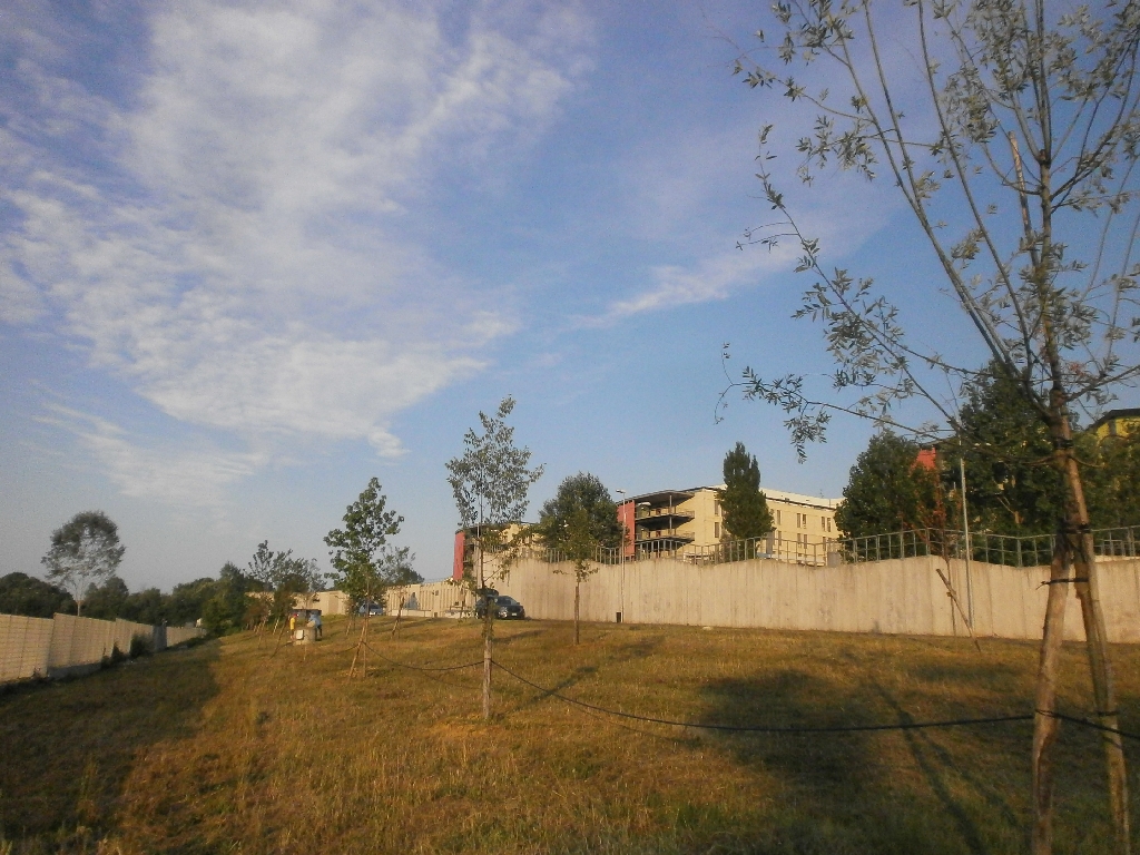 Veduta d insieme degli alberi serviti dall impianto di irrigazione.