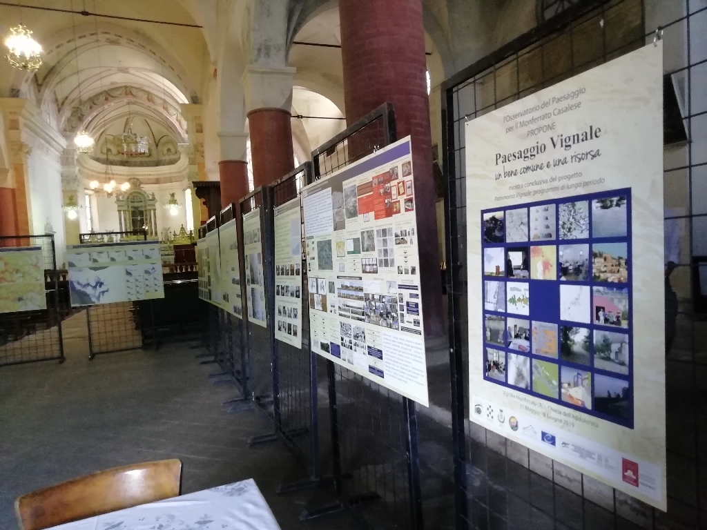 Elaborati esposti alla Mostra conclusiva del progetto: "Patrimonio Vignale programmi di lungo periodo" presso la Chiesa dell Addolorata a Vignale Monferrato.