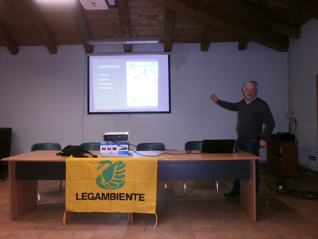 Riflessioni sulla potatura degli alberi ornamentali da parte di Angelo Porta (Presidente del Circolo Legambiente Valtriversa).