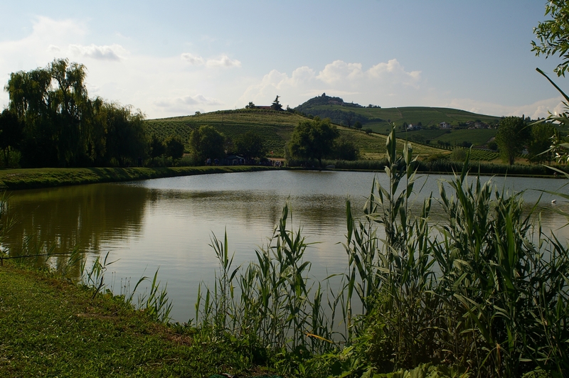 Veduta del Paludo: una delle realtà paesaggisticamente più interessanti del Sud Astigiano.