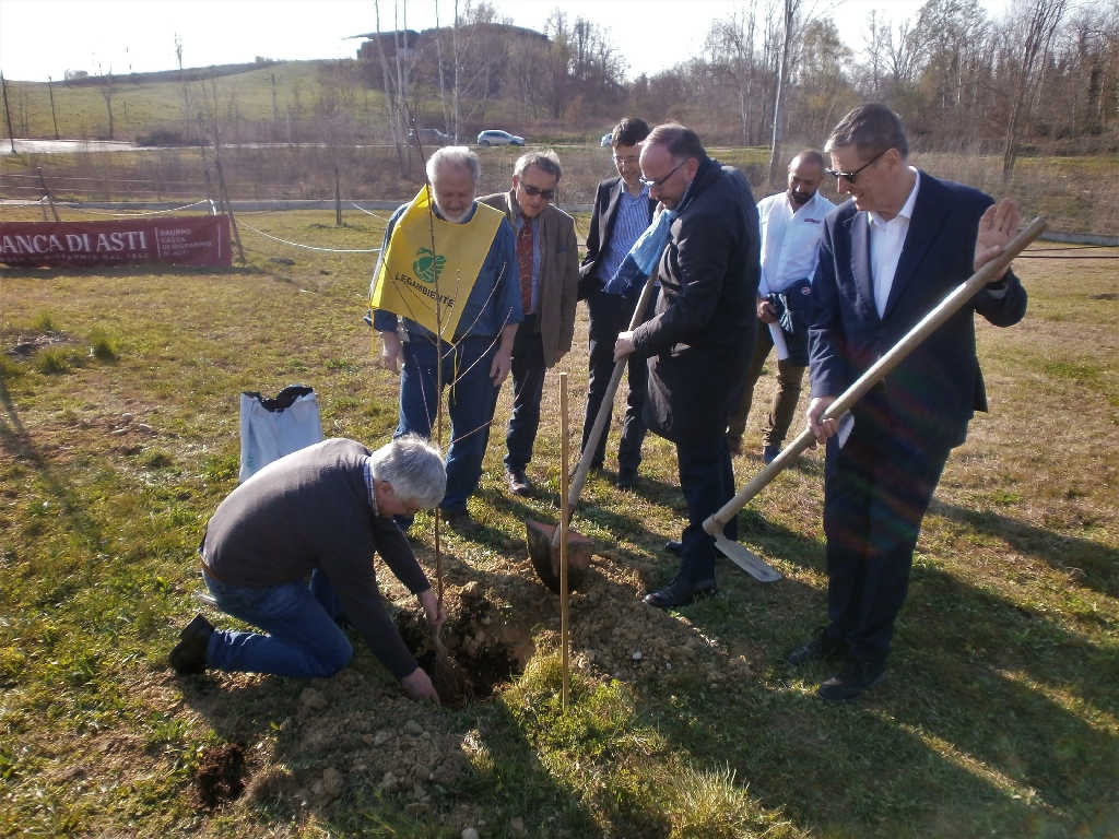 Messa a dimora di un nuovo albero nel Parco della salute dell Ospedale Cardinal Massaia da parte del Sindaco Maurizio Rasero di Asti.