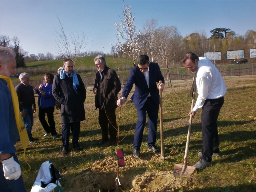 Messa a dimora di un nuovo albero nel Parco della salute dell'Ospedale Cardinal Massaia da parte del Prof. Marco Devecchi dell'Osservatorio del Paesaggio per il Monferrato e l'Astigiano.