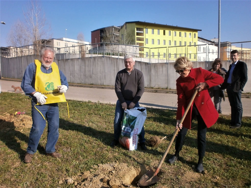 Messa a dimora di un nuovo albero nel Parco della salute dell Ospedale Cardinal Massaia da parte dell Arch. Marica Chiola.