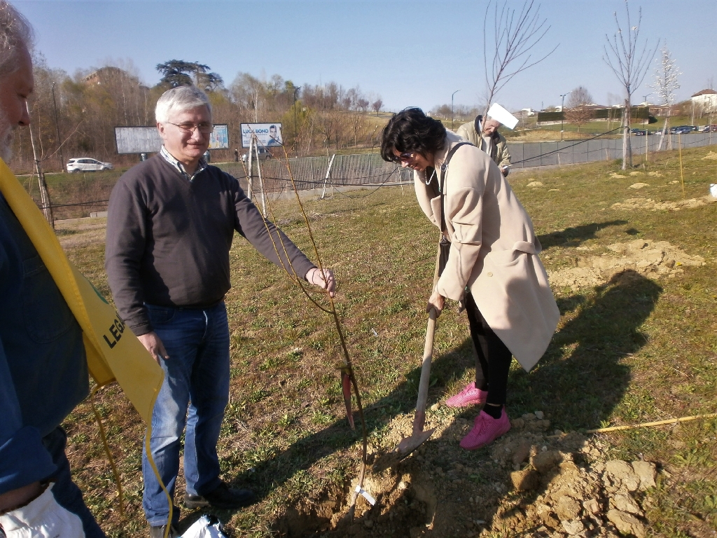 Messa a dimora di un nuovo albero nel Parco della salute dell Ospedale Cardinal Massaia da parte della Dott.ssa Cristina Chialvi dell ASL di Asti.