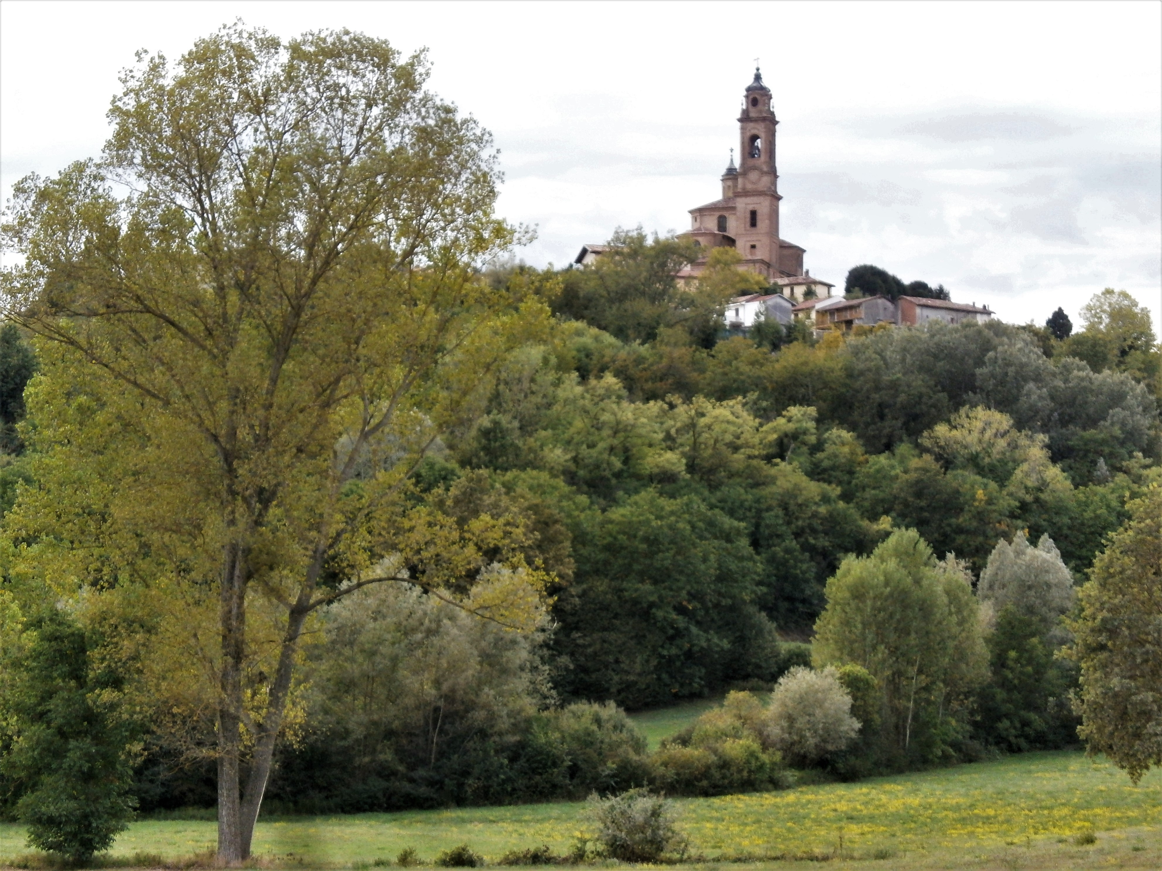 Veduta dello straordinario paesaggio agrario di Piovà Massaia.