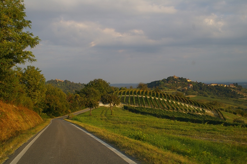 Veduta del paesaggio agrario dell Alto Astigiano nel territorio comunale di Pino d Asti.