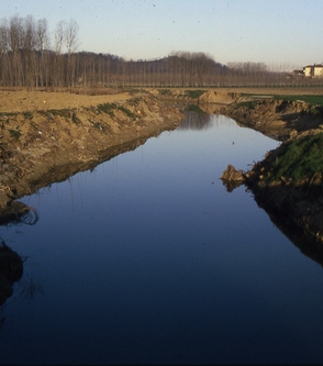 Quale gestione delle sponde dei corsi d'acqua del comprensorio Triversa - Traversola - Borbore?
