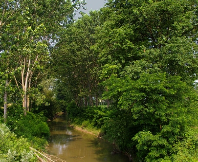 Convegno - La riqualificazione dei corsi d'acqua del comprensorio Triversa-Traversola-Borbore. Aspetti storico-culturali, educativi e paesaggistico-ambientali. Villafranca d'Asti, Sabato 12 luglio 2008.Convegno dedicato alla memoria di Luciano Torta socio fondatore dell'Ente Tutela Pesca del Bacino del Tanaro