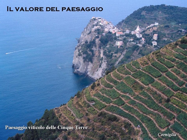 Il valore del paesaggio. Paesaggio viticolo delle Cinque Terre. Corniglia.
