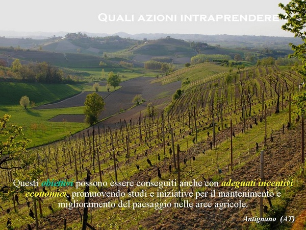 Adeguati incentivi economici per migliorare il paesaggio delle aree viticole.