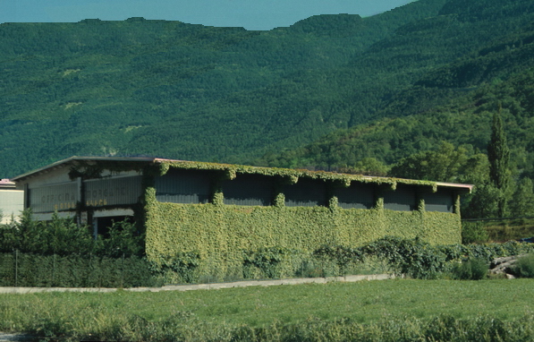 Interessante utilizzo del verde parietale per l'inserimento paesaggistico dei capannoni