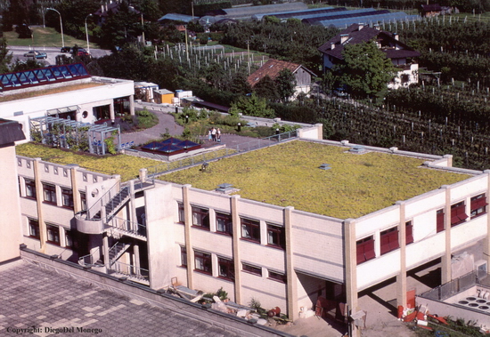 Coperture a verde dell'ampliamento dell'Ospedale generale provinciale di Bolzano (Copyright Diego del Monego).