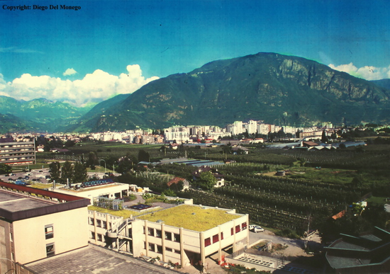 Coperture a verde dell'ampliamento dell'Ospedale generale provinciale di Bolzano (Copyright Diego del Monego).