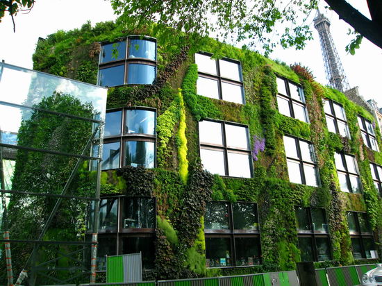  Straordinario muro vegetale di Patrick Blanc, realizzato a Parigi a Quai_Branly (Foto gentilmente fornita da Flavio Pollano - Autorizzazione Patrick Blanc)