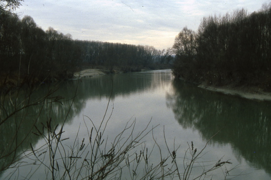 Veduta del fiume Tanaro, quale importante corridio ecologico nel territorio astigiano