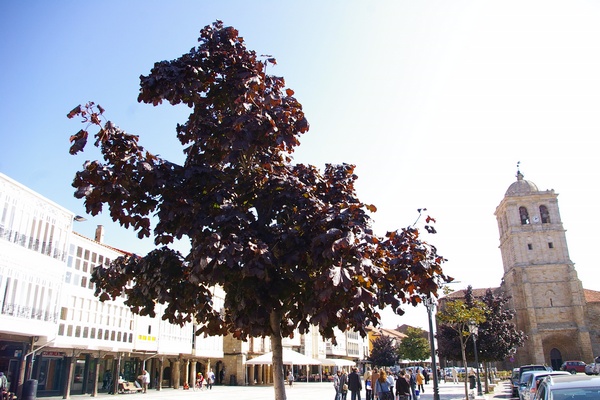 Veduta di Aguilar de Campoo in Spagna.