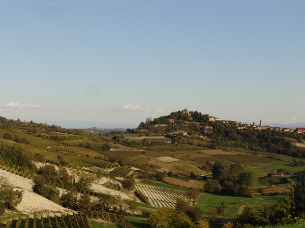Veduta dello straordinario paesaggio agrario tra Albugnano e Passerano Marmorito (Foto Pippo Sacco).