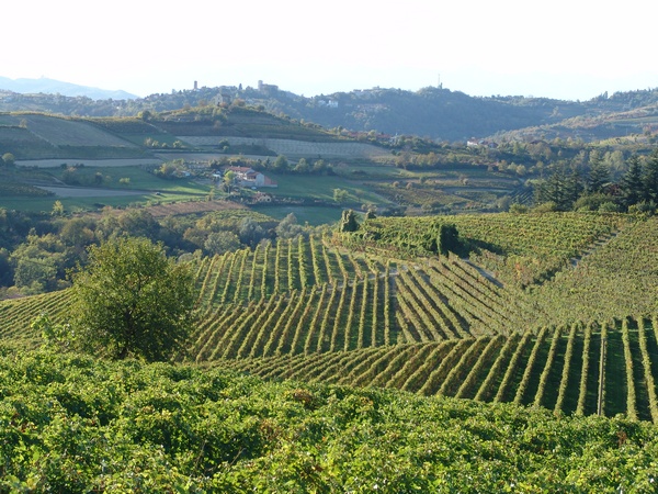 Veduta dello straordinario paesaggio agrario di Albugnano (Foto Pippo Sacco).