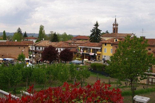 Veduta dell area espositiva di Fiori in Fiera ad Isola d'Asti.