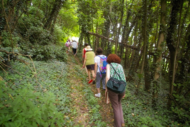 Camminata attraverso un'area boscata sulla collina di San Iorio ad Asti.
