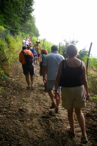 Partecipanti alla camminata lungo la salita per raggiungere la sommità della collina di San Iorio ad Asti.